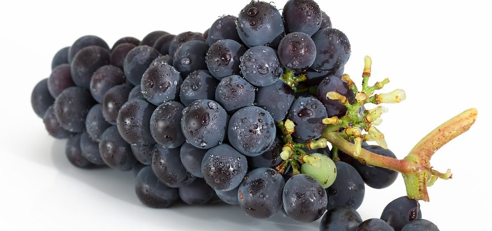 traubenkernextrakt